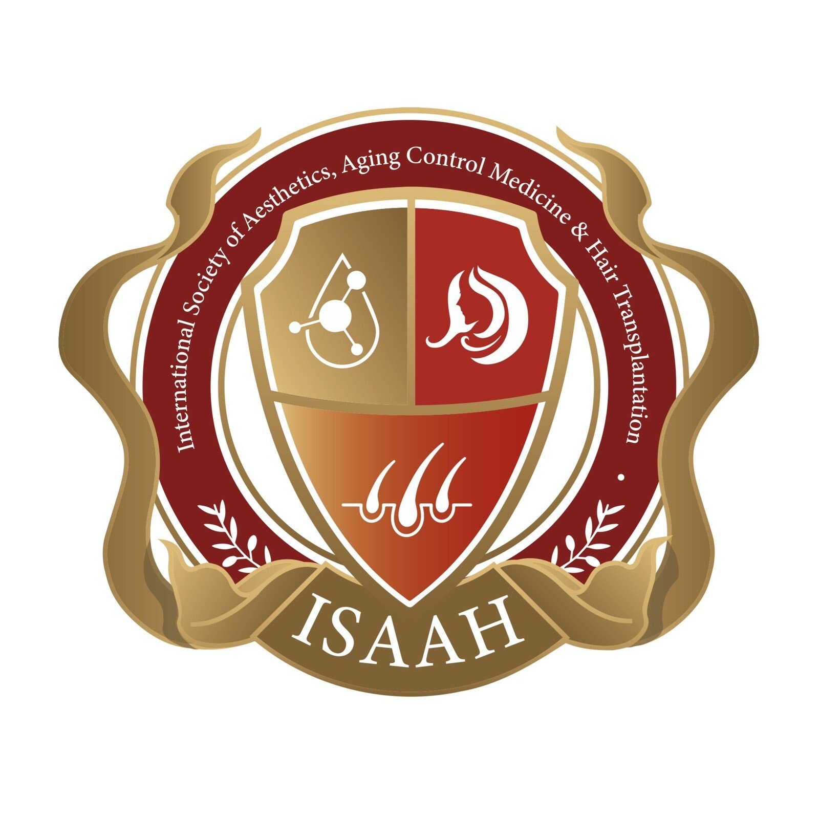 viber_image_2025-11-24_19-23-54-802